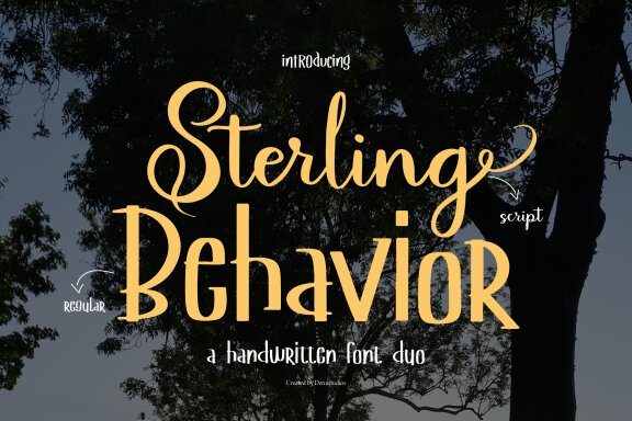 Sterling Behavior | Handwritten Font Duo