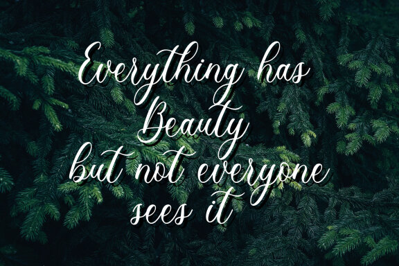 Prettiest Script