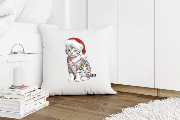 Christmas kittens PNG