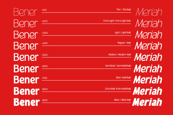Bener Meriah - Sans Serif Display Family Font
