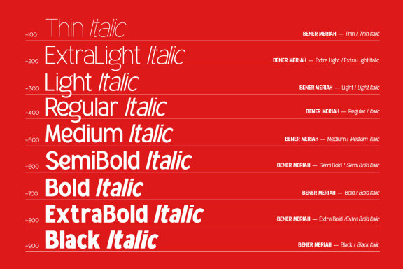 Bener Meriah - Sans Serif Display Family Font