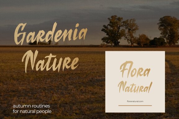 Losiento | Brush Handwritten Font