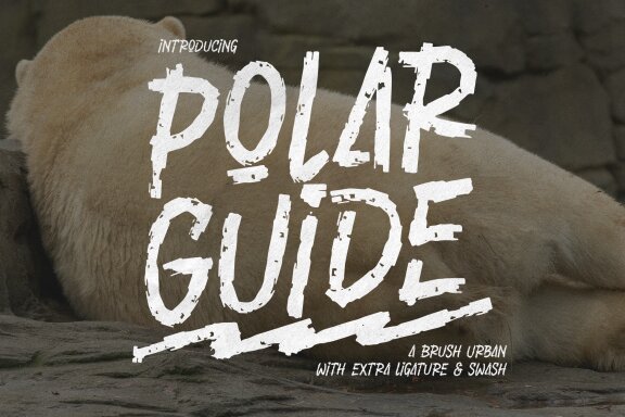 Polar Guide | Brush Urban Font