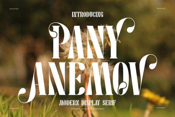 Pany Anemov | Modern Display Serif