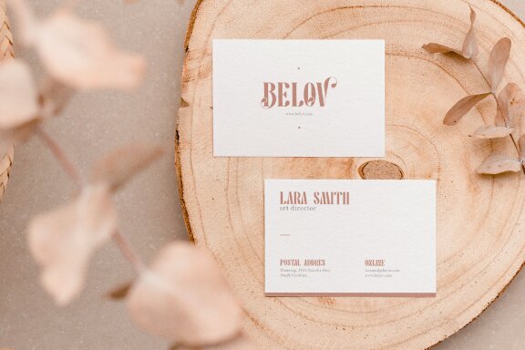 Pany Anemov | Modern Display Serif