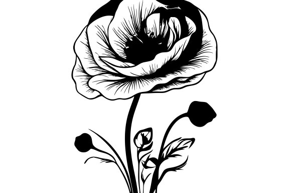 Poppy Flower Silhouette