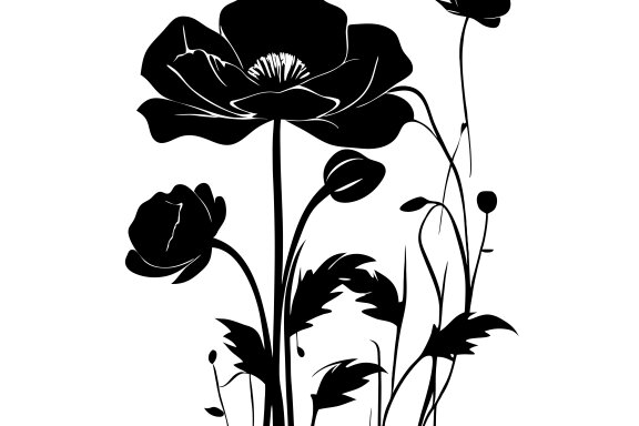 Poppy Flower Silhouette