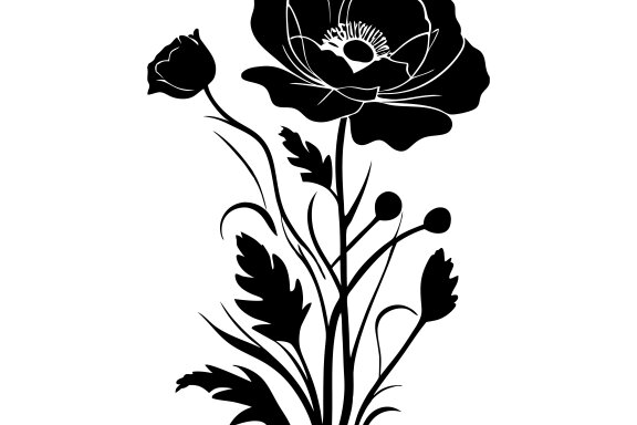 Poppy Flower Silhouette