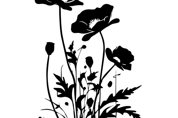 Poppy Flower Silhouette