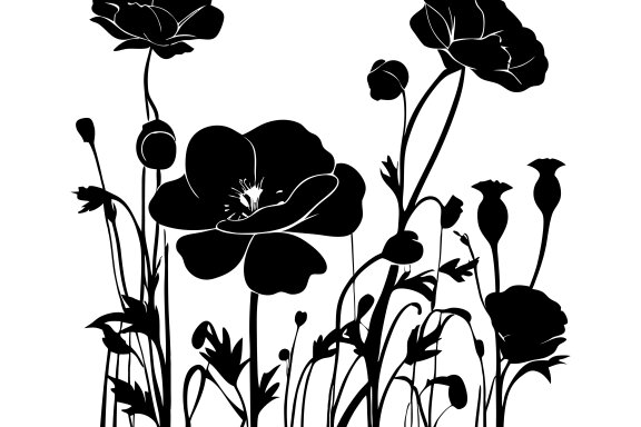 Poppy Flower Silhouette