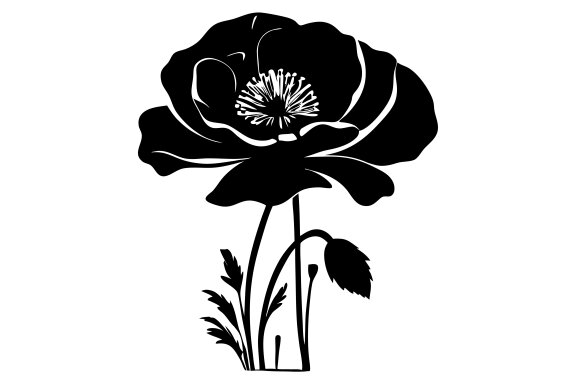 Poppy Flower Silhouette