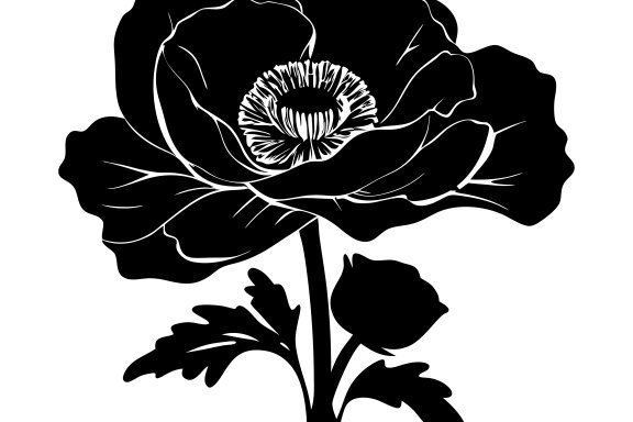 Poppy Flower Silhouette