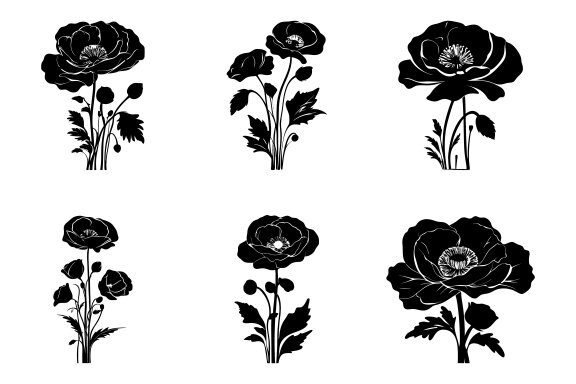 Poppy Flower Silhouette