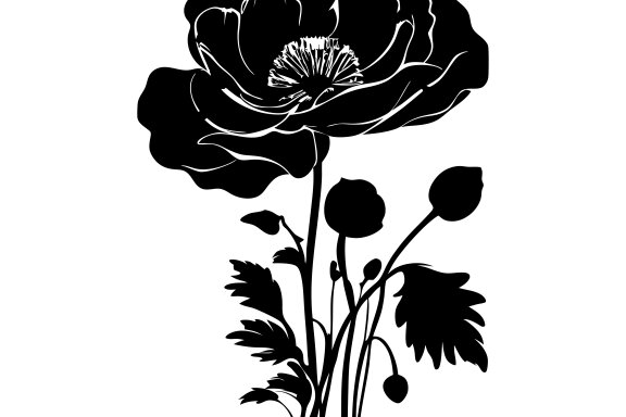 Poppy Flower Silhouette