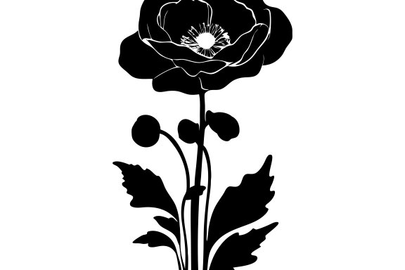 Poppy Flower Silhouette