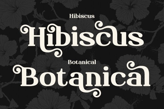 Szysa Jasteri | Display Typeface Serif