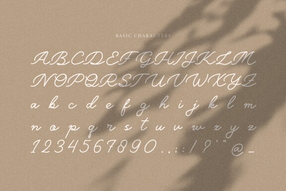 Belly Shine | Handwritten Script Font
