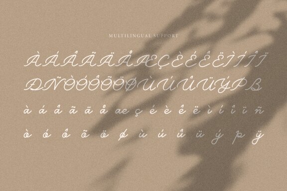 Belly Shine | Handwritten Script Font