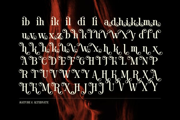Blind Hojil | Display Serif Font