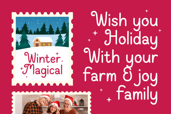 DT Wishes Holiday Font - Christmas Font