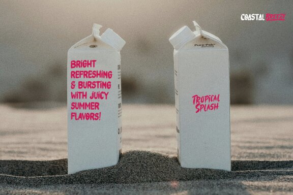 Coastal Threads | Brush Duo Font