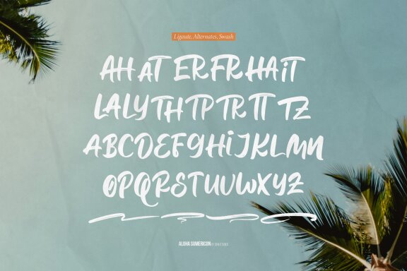 Aloha Sumericon | Hand Drawn Brush Font