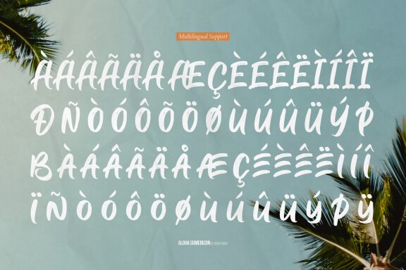 Aloha Sumericon | Hand Drawn Brush Font