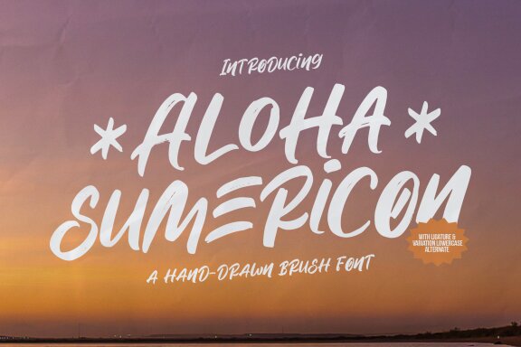 Aloha Sumericon | Hand Drawn Brush Font