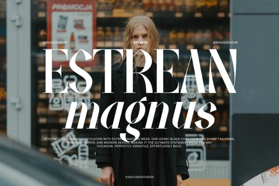 Fiably Manor | Modern Display Serif
