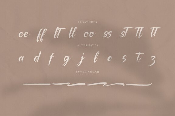 Palfian | Brush Solid Script