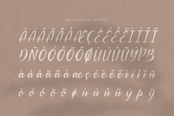 Palfian | Brush Solid Script