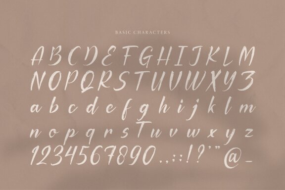Palfian | Brush Solid Script