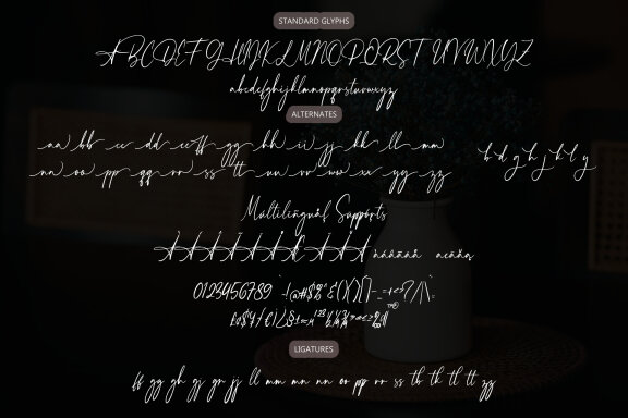 Alessandra Charm Font
