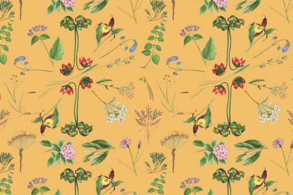 8 Vintage Botanical Patterns