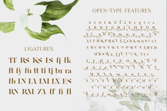 Magnies - Minimal Serif