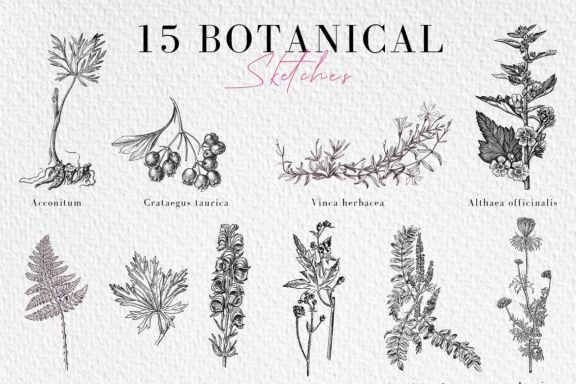 Garden of Eden - Botanical set