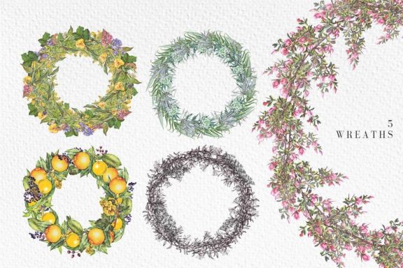 Garden of Eden - Botanical set