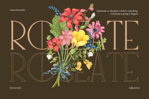 Archine Eamore | Fancy Classic Serif