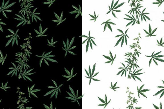 Cannabis Patterns
