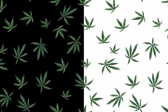 Cannabis Patterns