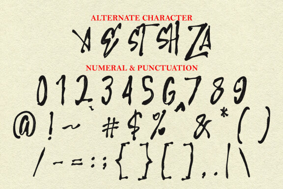 Zaste Ebics Brush Display Font