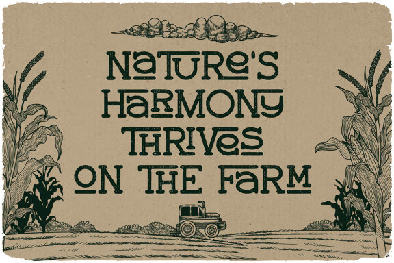 Country Road Vintage Label Font