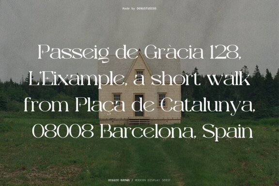 Diggie Brown | Modern Display Serif