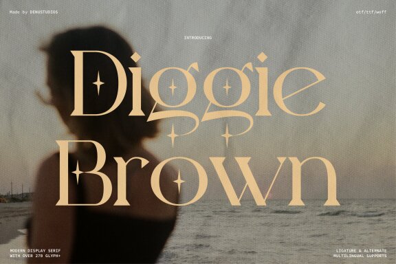 Diggie Brown | Modern Display Serif