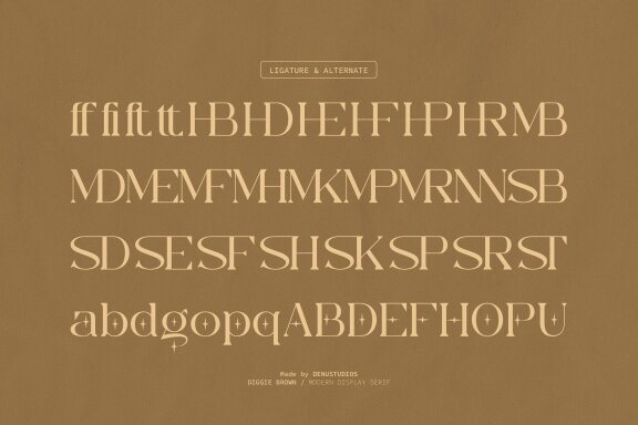 Diggie Brown | Modern Display Serif