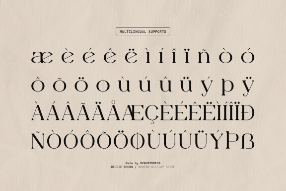 Diggie Brown | Modern Display Serif
