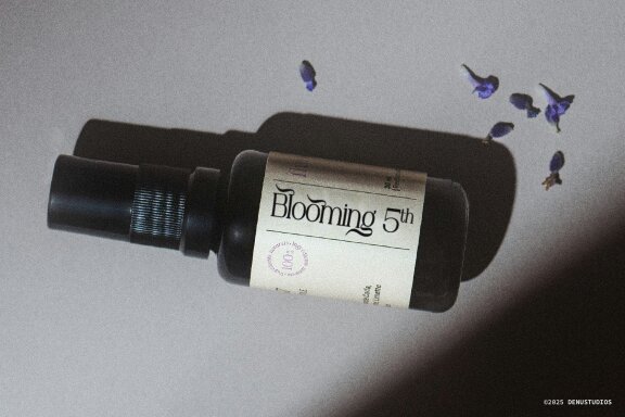 Celifto Legion | Modern And Elegant Serif