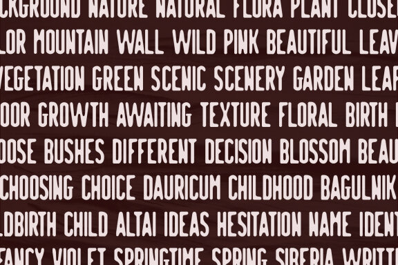 Hamtur Georgen Display Font