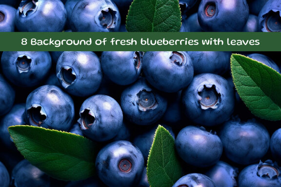 Background of fresh blueberries with leaves