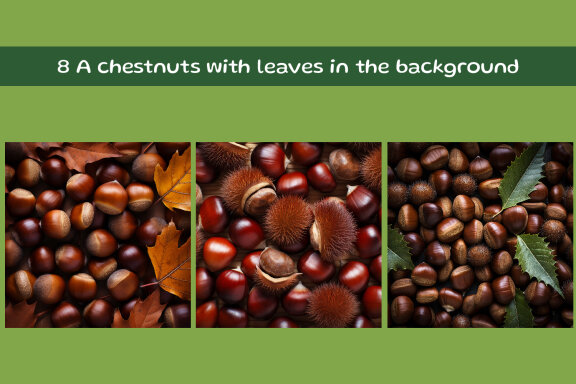 A chestnuts with leaves in the background